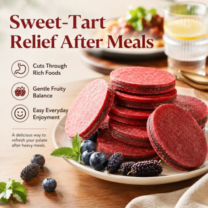 Antioxidant-Rich Fruit Snack – Mulberry Blueberry Filled Hawthorn Slices-LT