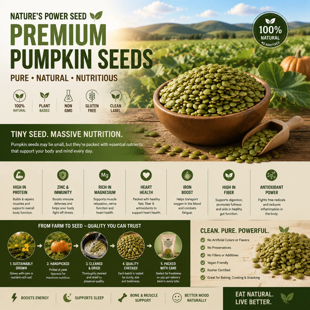 Crunchy Pumpkin Seeds Snack – Natural Superfood for Healthy Daily Energy-SUY